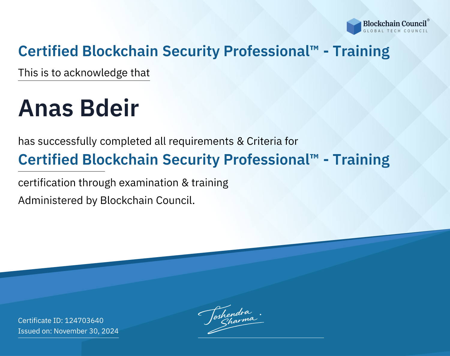 Certified Blockchain Security Professional™ - Training