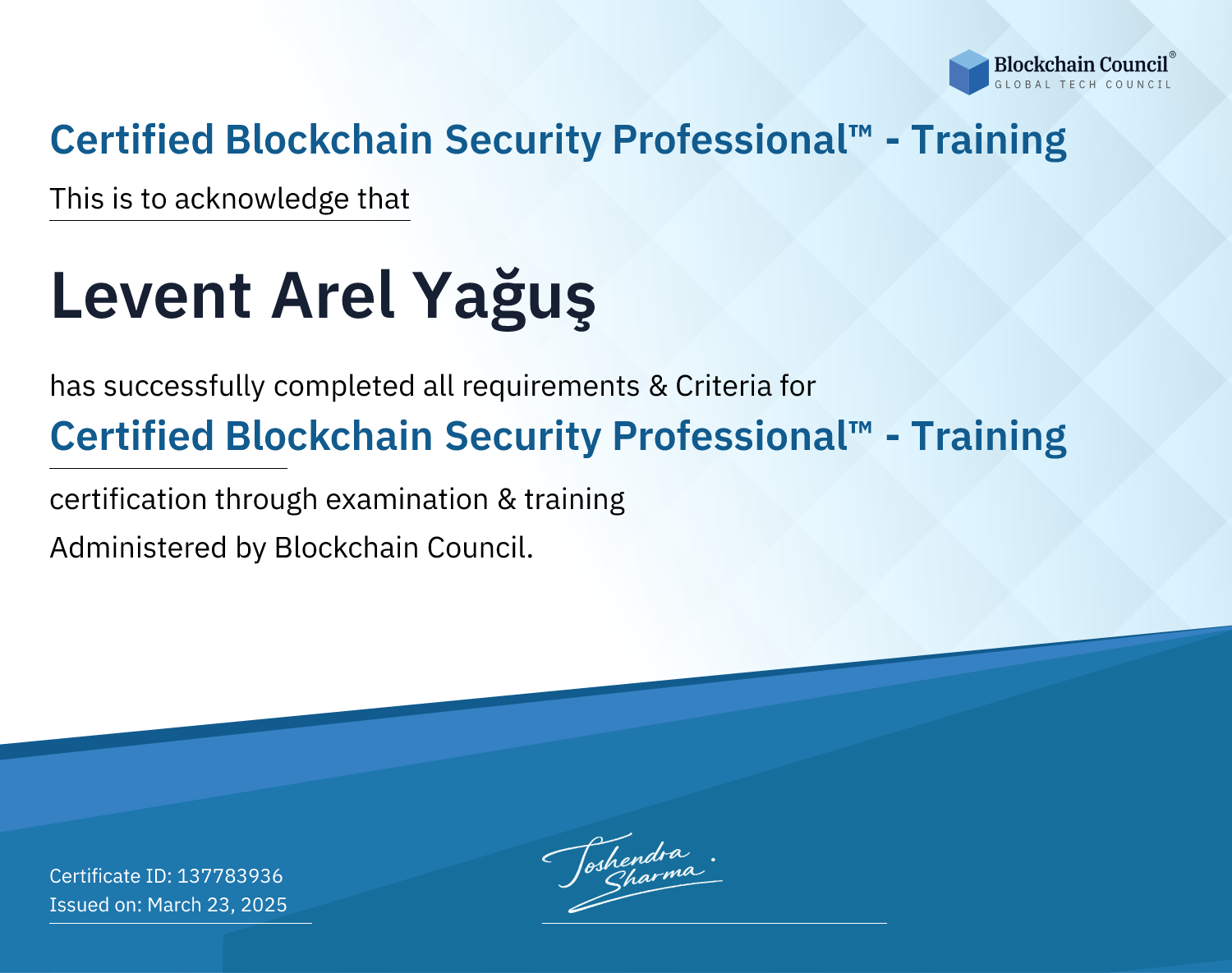 Certified Blockchain Security Professional™ - Training