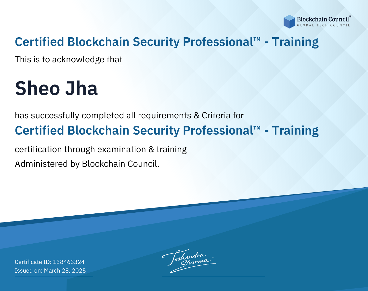 Certified Blockchain Security Professional™ - Training