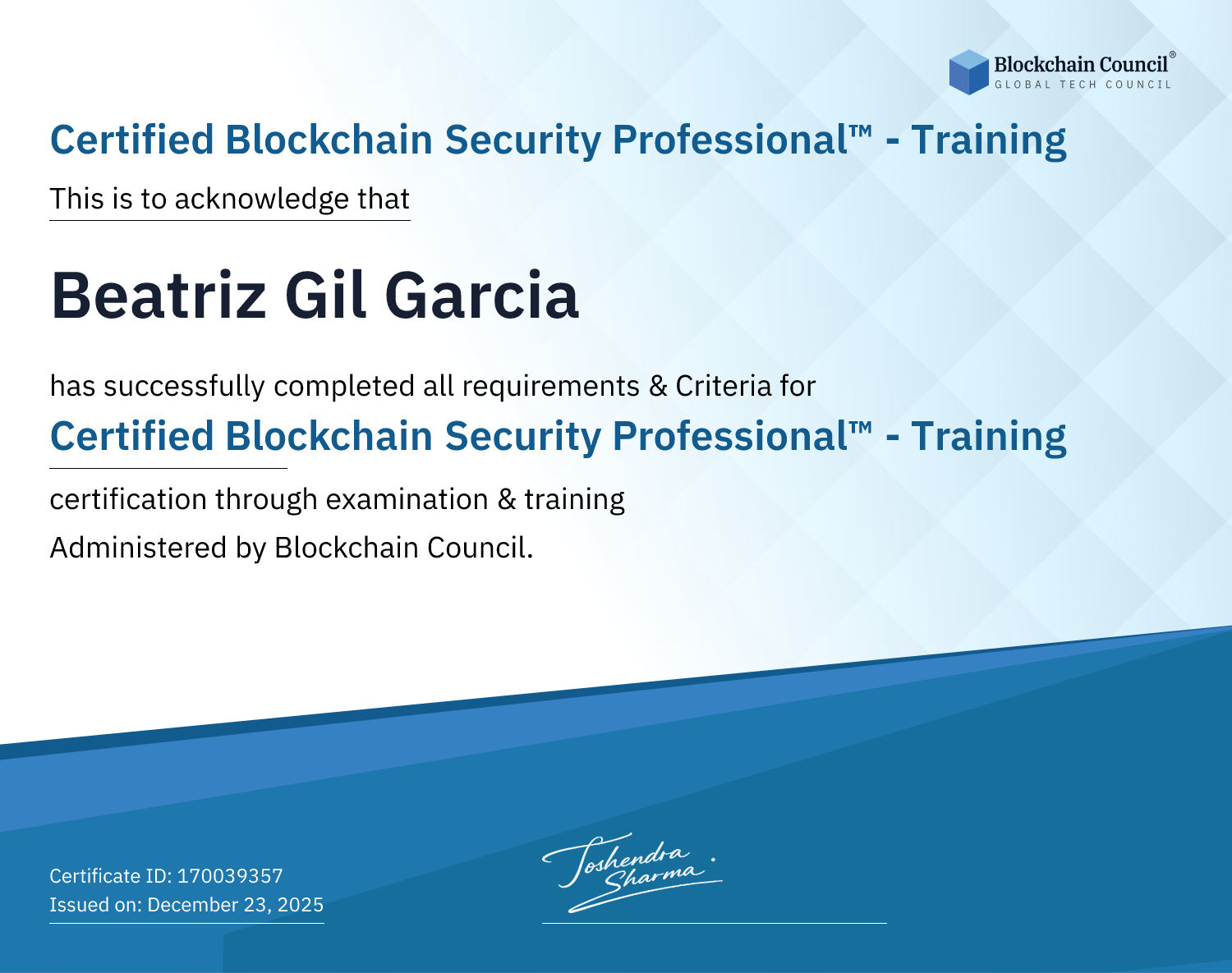 Certified Blockchain Security Professional™ - Training