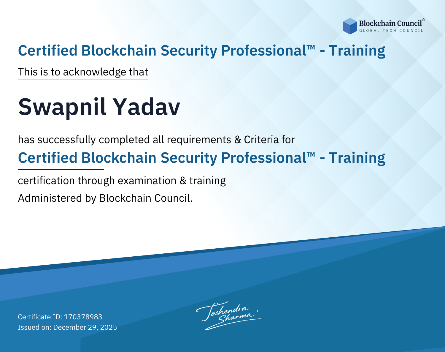 Certified Blockchain Security Professional™ - Training