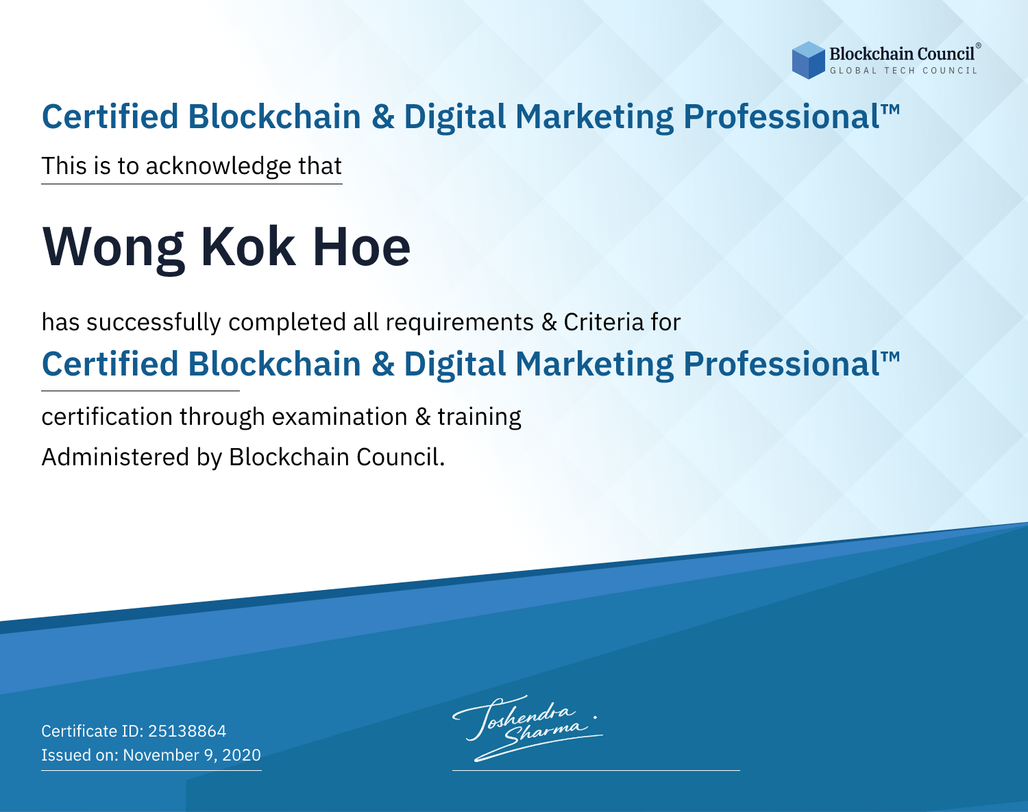 Certified Blockchain & Digital Marketing Professional™