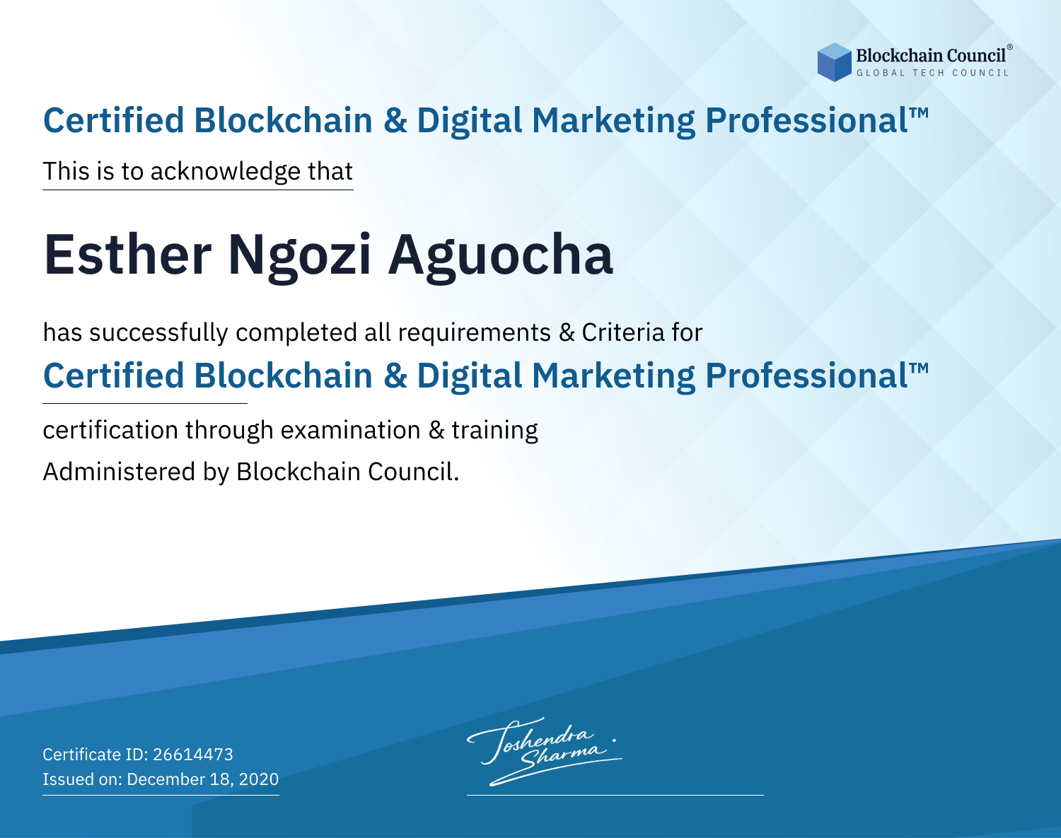 Certified Blockchain & Digital Marketing Professional™