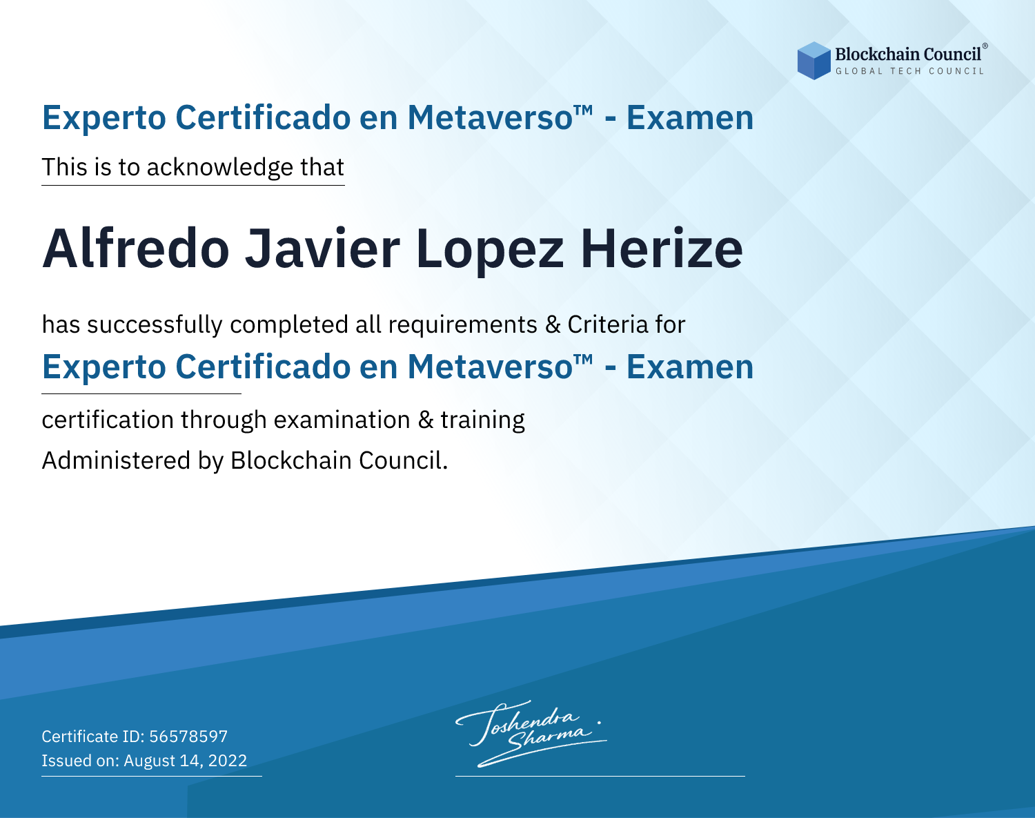 Experto Certificado en Metaverso™ - Examen