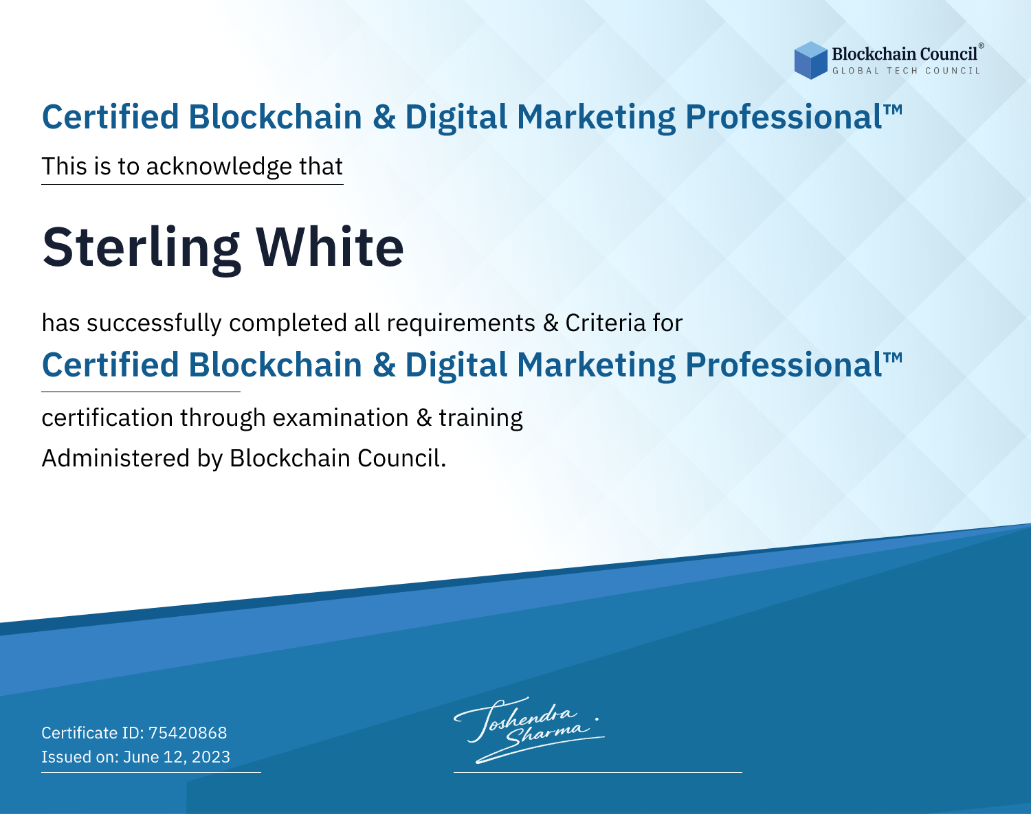 Certified Blockchain & Digital Marketing Professional™